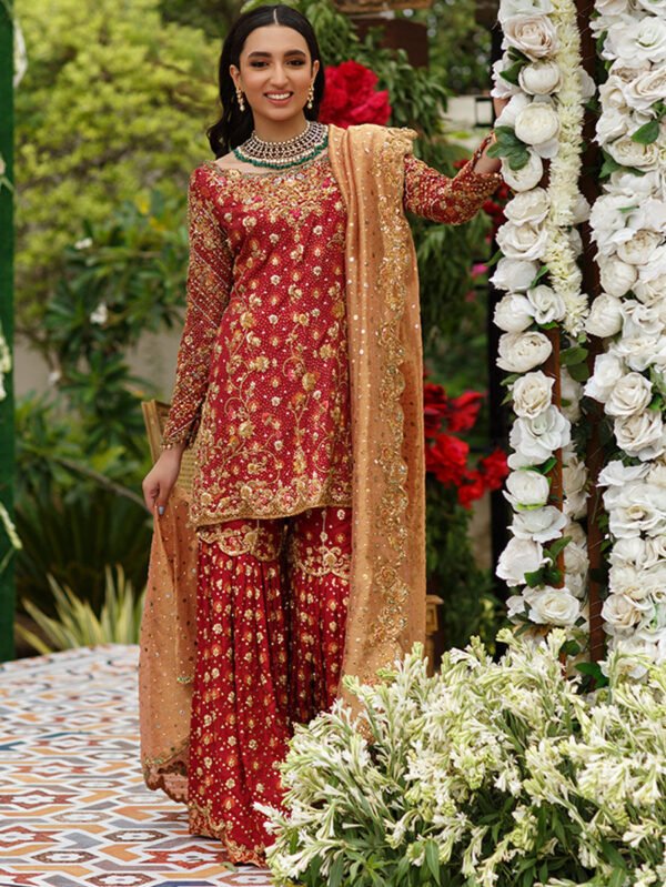 Deep Red Bridal Ensemble with Gold Zari Motifs