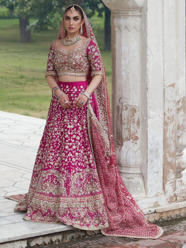 Stunning Berry Hue Lehenga Choli