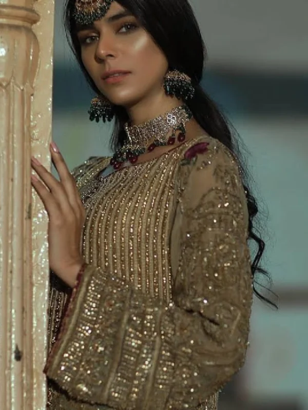 Gold Organza Kameez Shalwar