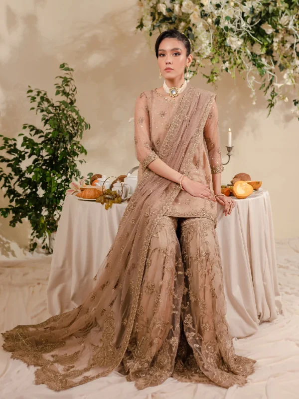 Beige Embroidered Net Suit