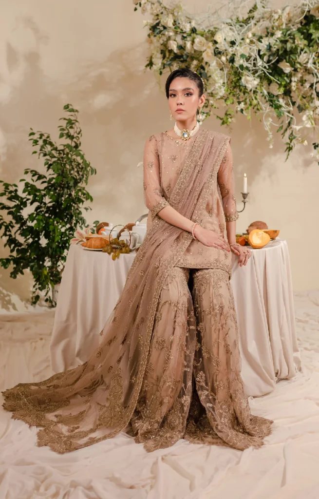 Beige Embroidered Net Suit