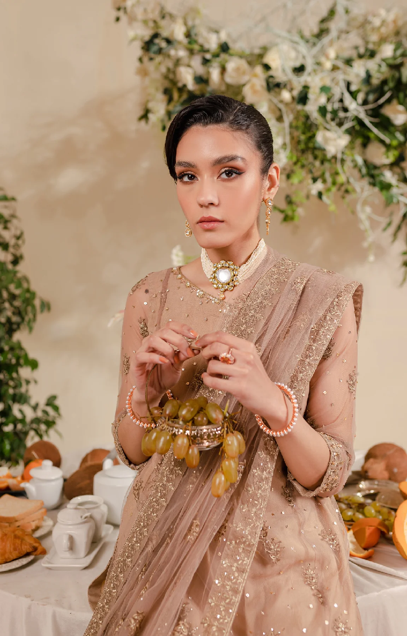 Beige Embroidered Net Suit