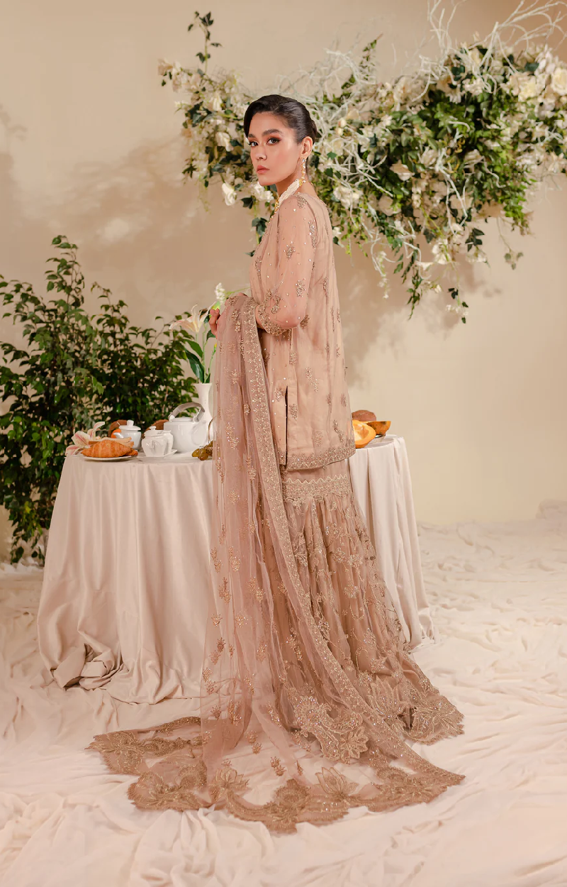 Beige Embroidered Net Suit