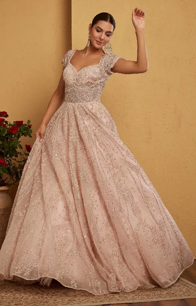 Light Pink Net Gown