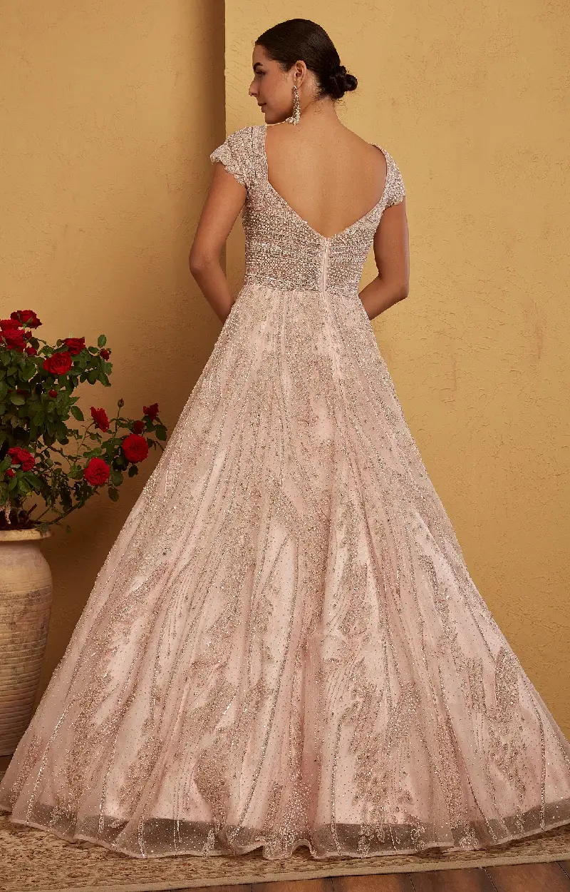 Light Pink Net Gown