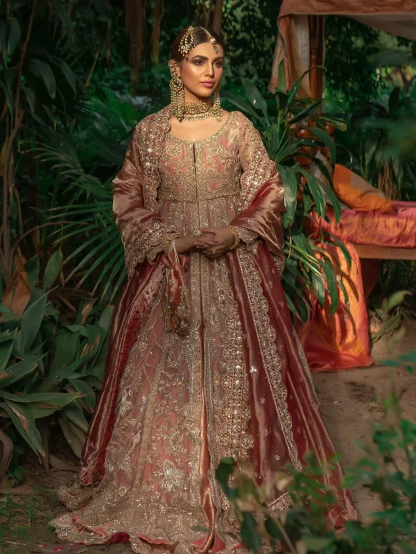 Discover the Elegance of Roy Net Peshwas Bridal