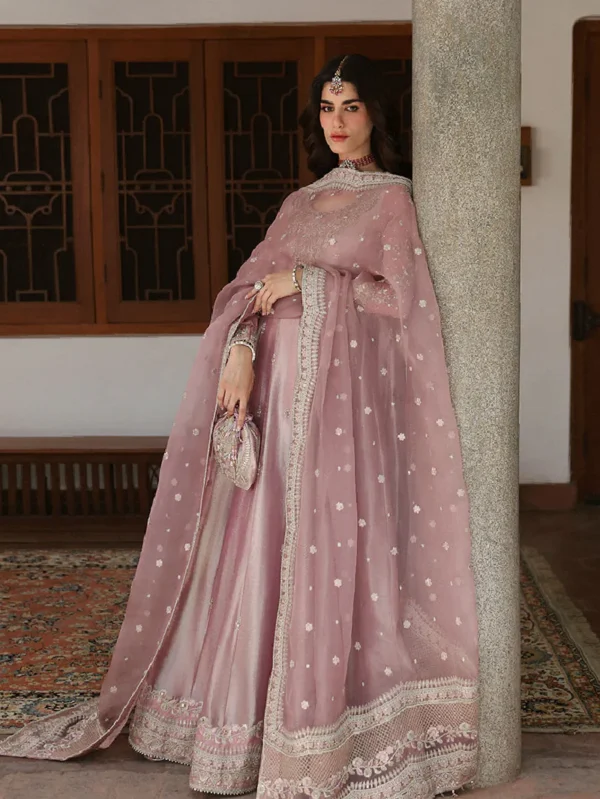 Pink Pishwas Suit Set