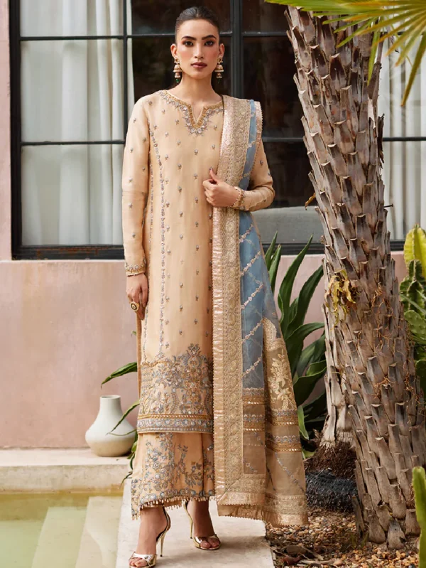 Fawn Pakistani Suit Set