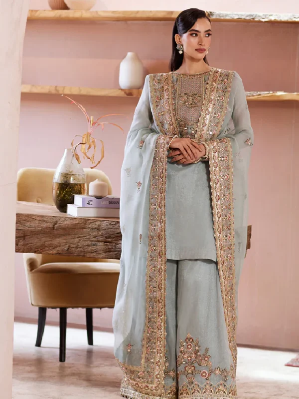 Ice Blue Pakistani Suit Set