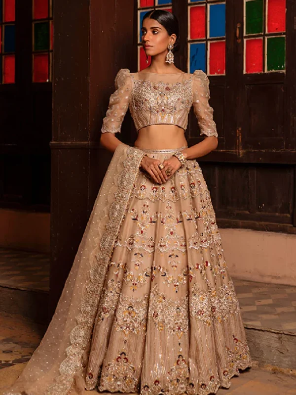 Organza Lehenga Choli Set