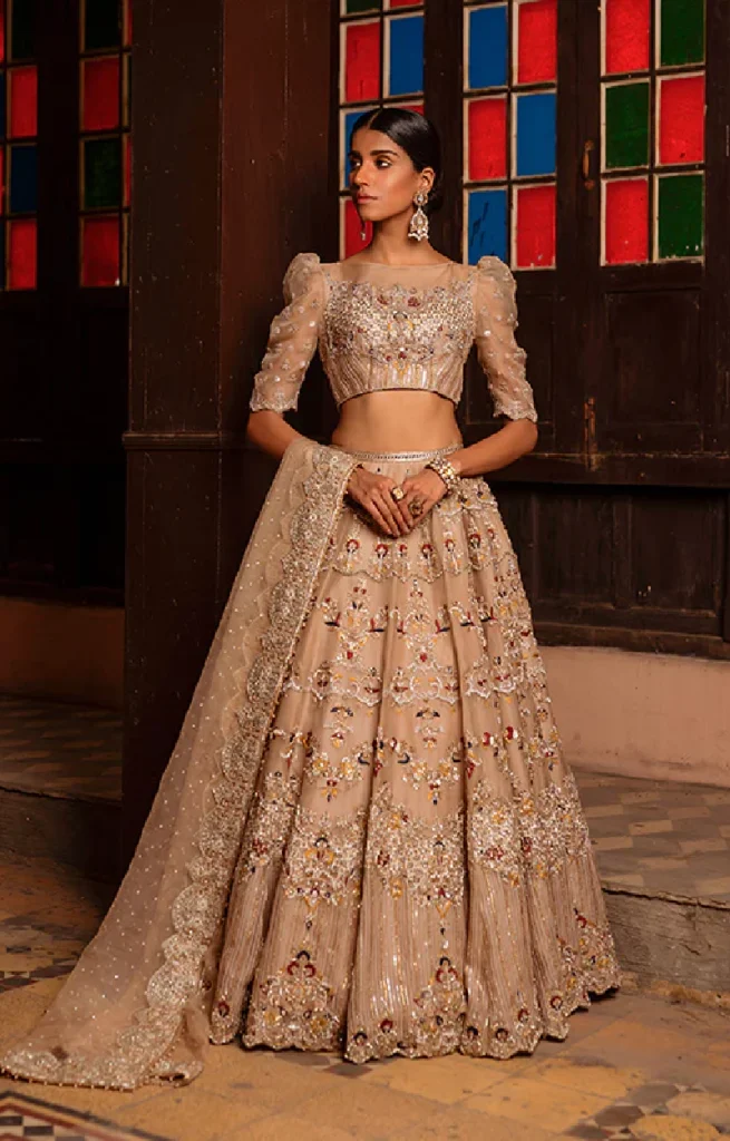 Organza Lehenga Choli Set