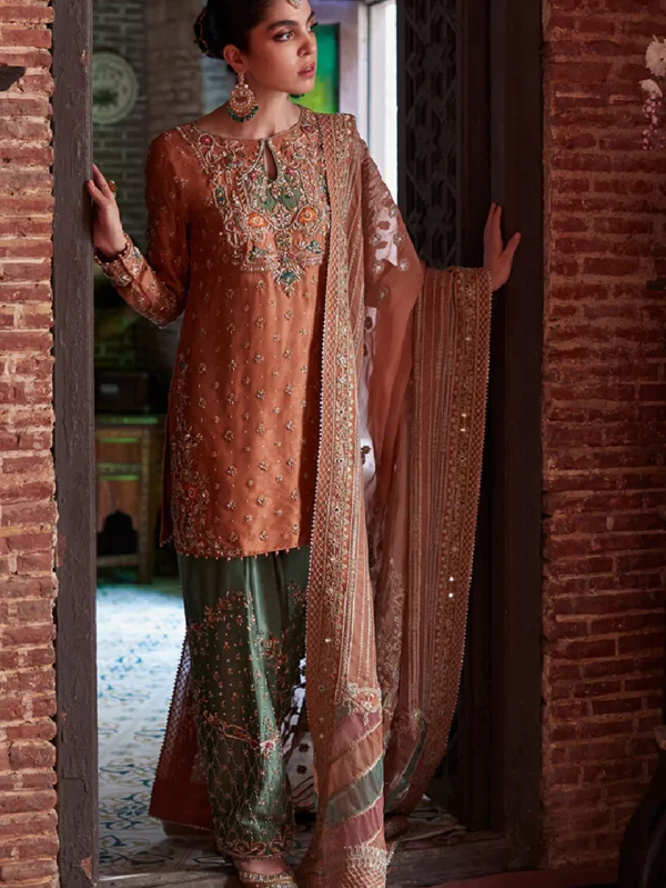 Rust Orange Pakistani Suit