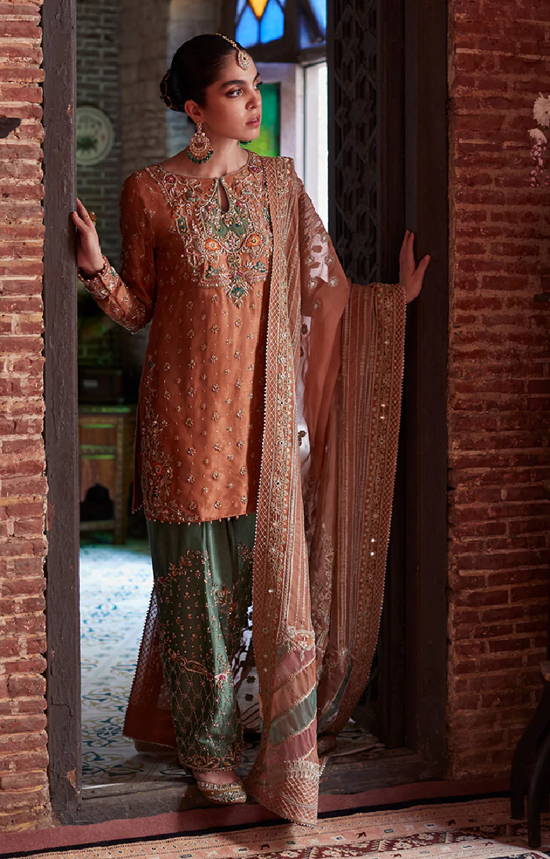 Rust Orange Pakistani Suit