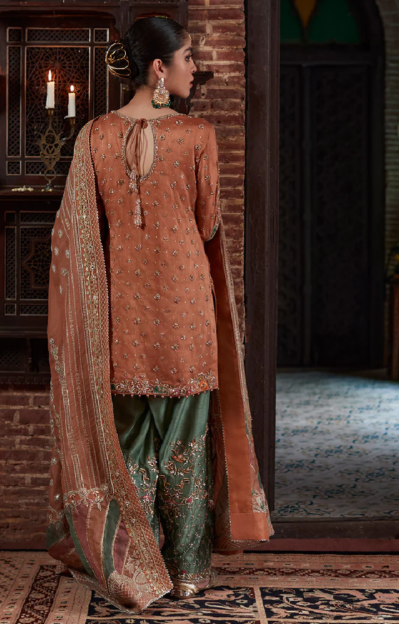 Rust Orange Pakistani Suit