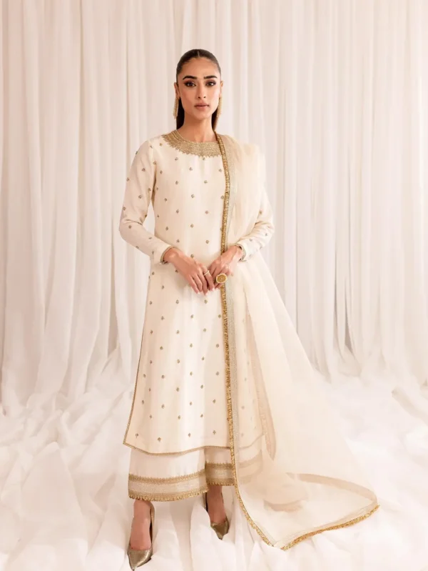 Off-White Pakistani Party Dress